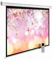 Рулонный матовый белый экран cactus MotoExpert CS-PSME-220x220-WT, 120″, белый