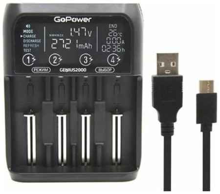 Зарядное устройство GoPower Genius2000 AA/AAA 2034021012