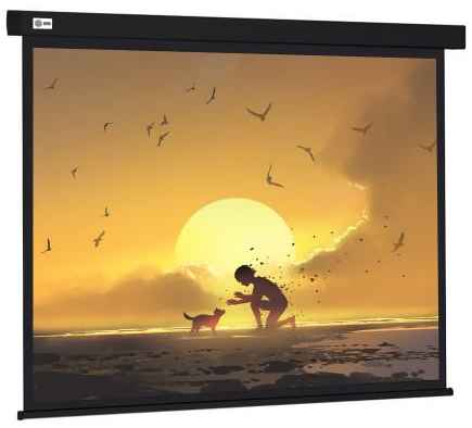Экран Cactus 150x150см Wallscreen CS-PSW-150X150-BK 1:1 настенно-потолочный рулонный черный 2034075626