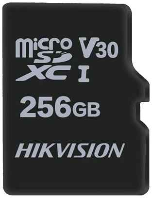 Карта памяти microSDXC 256Gb Hikvision HS-TF-C1 2034078725