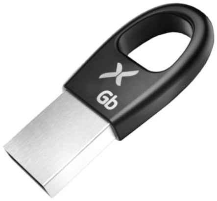Флешка 16Gb Flexis RB-102 USB 2.0 черный 2034170480