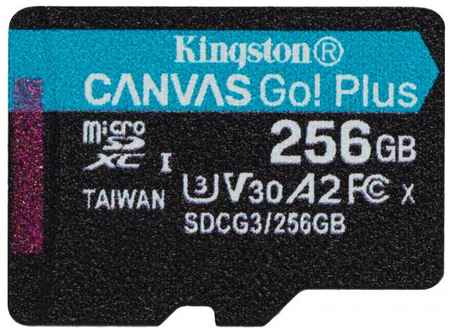 Карта памяти microSDXC 256Gb Kingston Canvas Go Plus 2034170826