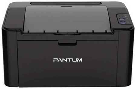 Лазерный принтер Pantum P2207 203584421