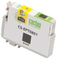 Струйный картридж Cactus CS-EPT0801 черный для Epson Stylus Photo P50 300стр