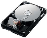Жесткий диск 3.5 6 Tb 5400 rpm 256 Mb cache Western Digital WD64PURZ SATA III 6 Gb / s
