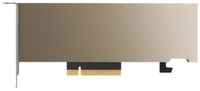 PNY NVIDIA TESLA,A2,16GB,PCIE (388454) (TCSA2MATX-PB)