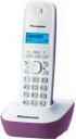 Телефон Panasonic KX-TG1611RUF 203436662