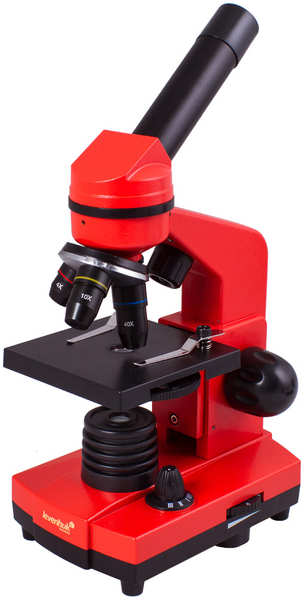 Микроскоп Levenhuk Rainbow 2L Orange 21721436