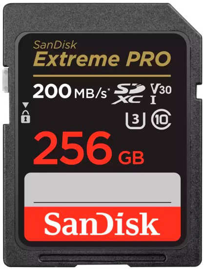 Карта памяти 256Gb - SanDisk SDXC UHS-1 SDSDXXD-256G-GN4IN 218466071