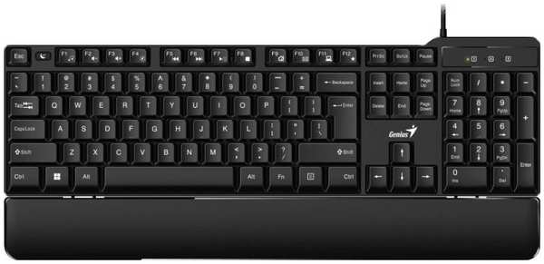 Клавиатура Genius KB-100XP RU USB Black 218472113