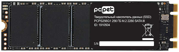 Твердотельный накопитель PC PET 256Gb PCPS256G1 218480287