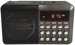 Радиоприемник Soundmax SM-RD2127 Dark Titan