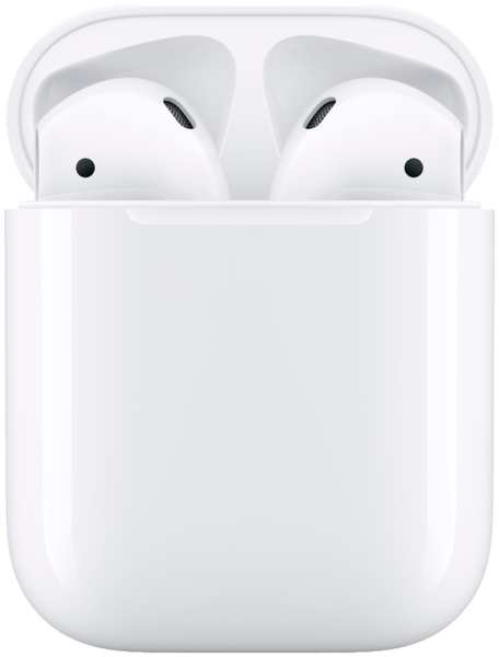 Беспроводные наушники Apple AirPods 2 Белые (MV7N2RU/A) 23740672