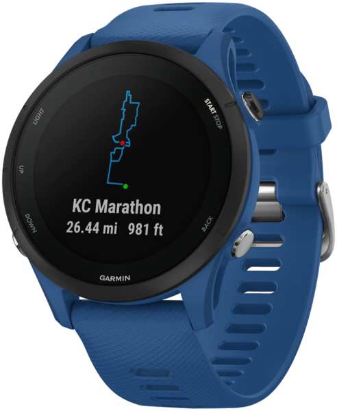 Часы Garmin Forerunner 255 Синие 23956843