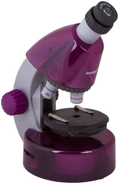 Микроскоп Levenhuk LabZZ M101 Аметист (69033)