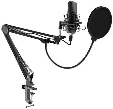 Студийный микрофон Ritmix RDM-169