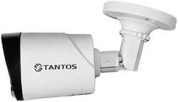Видеокамера сетевая (IP) Tantos TSi-Peco25FP