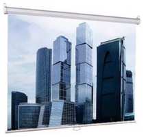 Экран настенно-потолочный Lumien Eco Picture LEP-100113 153x203