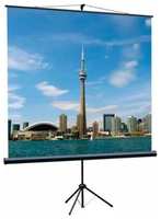 Экран на штативе Lumien Eco View LEV-100111 153x203