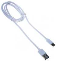 Кабель Buro USB 3.1-USB Type-C (m) 1м (BHP USB3-TPC 1)