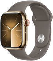 Умные часы Apple Watch Series 9 GPS + Cellular, 41mm Stainless Steel , с коричневым ремешком S/M