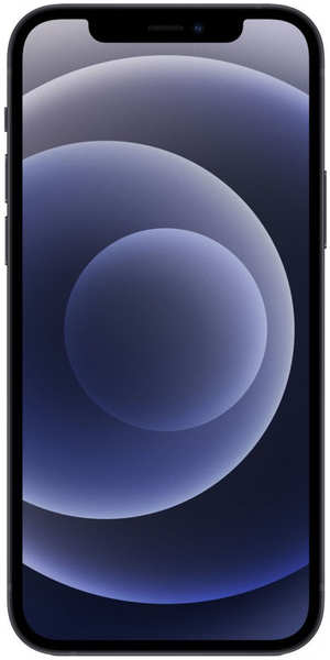 Смартфон Apple iPhone 12 128 Гб черный 348446756946