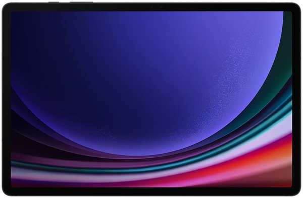 Планшет Samsung Galaxy Tab S9+ 12.4 Wi-Fi 512 ГБ графит 348446941049
