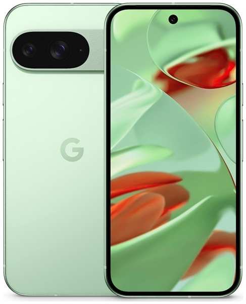 Смартфон Google Pixel 9 12/256Gb Global Wintergreen