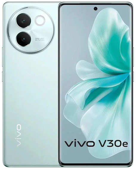 Смартфон Vivo V30e 12/256Gb RU