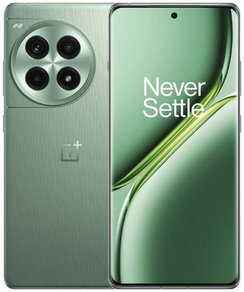 Смартфон OnePlus 12t Ace 3 Pro 16/256Gb Green 36873518