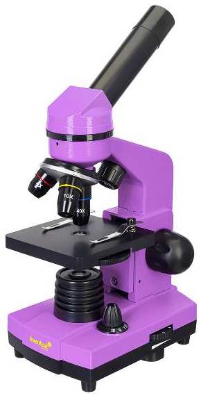 Микроскоп Levenhuk Rainbow 2L Amethyst (69036) 37244499214