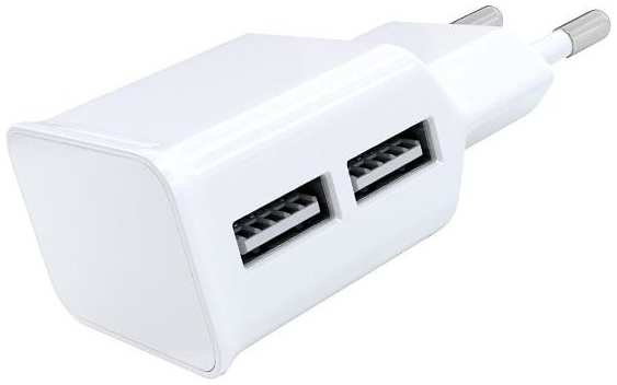 Сетевое зарядное устройство USB Red Line NT-2A