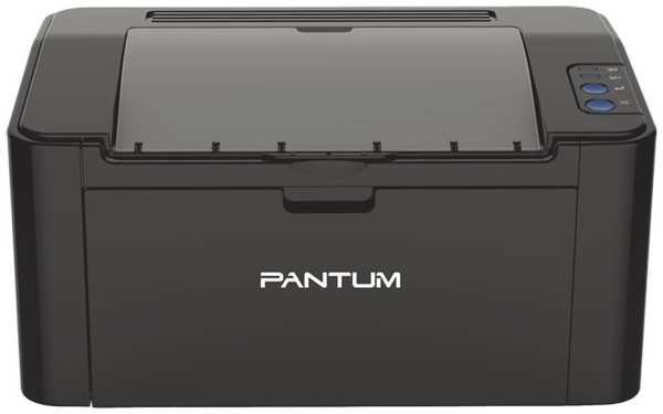 Лазерный принтер (чер-бел) Pantum P2207 (P2207) 372624600