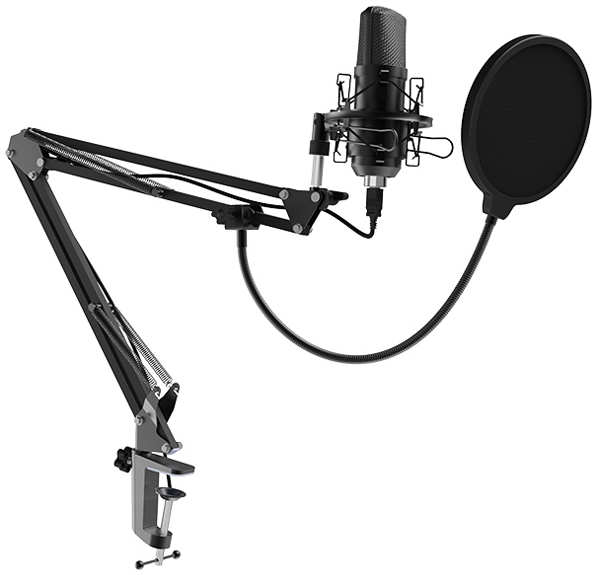 Микрофон вокальный Ritmix RDM-169