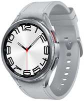 Смарт-часы Samsung Galaxy Watch 6 (SM-R960NZSACI)серебристые