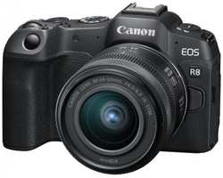 Фотоаппарат системный Canon EOS R8 Kit RF 24-50mm f/4.5-6.3 IS STM