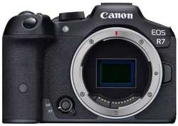 Фотоаппарат системный Canon EOS R7 Body