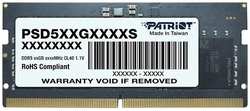 Оперативная память Patriot Memory DDR5 16GB 5600MHz SO-DIMM (PSD516G560081S)