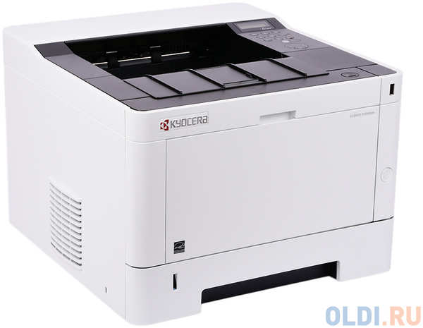 Лазерный принтер Kyocera Mita Ecosys P2040DN 434207794