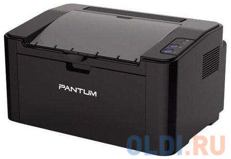 Принтер Pantum P2500 434503924