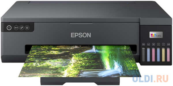 Принтер струйный Epson L18050 (C11CK38403) A3 WiFi черный 4346408871