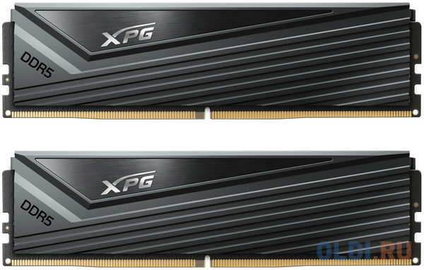 ADATA Оперативная память для компьютера A-Data XPG Caster DIMM 32Gb DDR5 6000 MHz AX5U6000C3016G-DCCAGY 4346414166
