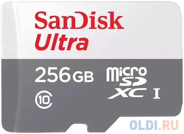 Карта памяти microSDXC 256 ГбGb SanDisk SDSQUNR-256G-GN3MN 4346427612