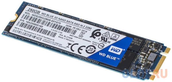Western Digital WD SSD Blue SA510, 250GB, M.2(22x80mm), SATA3, R/W 550/525MB/s, IOPs 95 000/81 000, TBW 100, DWPD 0.2 (12 мес.) 4346469589