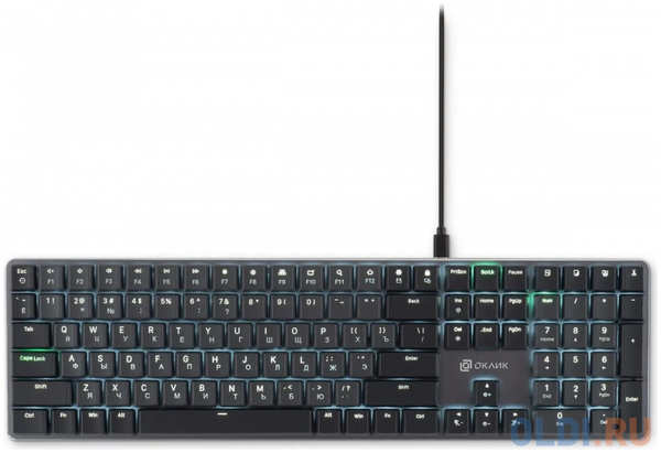 Oklick Клавиатура Оклик K953X механическая черный/серый USB Multimedia LED (1901086) 4346490981