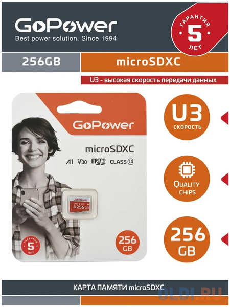 Карта памяти microSDXC 256 ГбGb GoPower 00-00025684