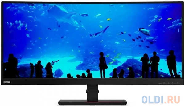 Монитор Lenovo 34″ ThinkVision P34w-20 черный IPS LED 6ms 21:9 HDMI M/M HAS Piv 300cd 178гр/178гр 3440x1440 60Hz DP WQ HD 2K (1440p) USB 10.8кг 4346872659