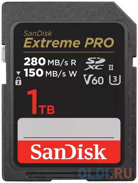 Карта памяти SDXC 1TB UHS-II SDSDXEP-1T00-GN4IN SANDISK 4346888253