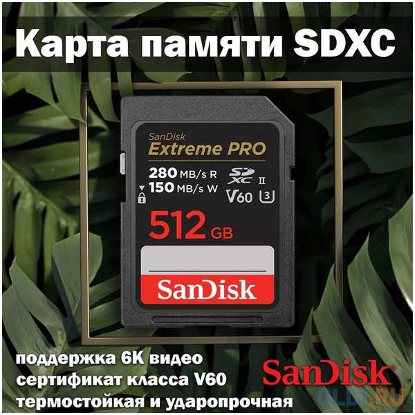 Карта памяти SDXC 512GB UHS-II SDSDXEP-512G-GN4IN SANDISK 4346888255