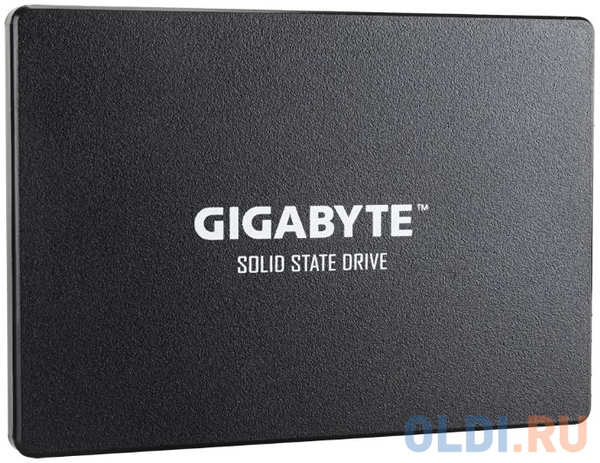 SSD накопитель GigaByte GP-GSTFS31256GTND 256 Gb SATA-III